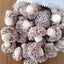 Coconut Mushrooms - Mushroom shaped chewy sweets coated in coconut flakes (100g)