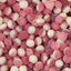 Strawberry & Cream Pips - Strawberry & cream flavour boiled sweets