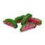 Watermelon Liquorice Slices - Watermelon flavour sweets with a sugar paste filling