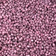 Freeze Dried Blackcurrant Millions