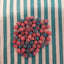 Bubblegum Pips - Small hard boiled sweets